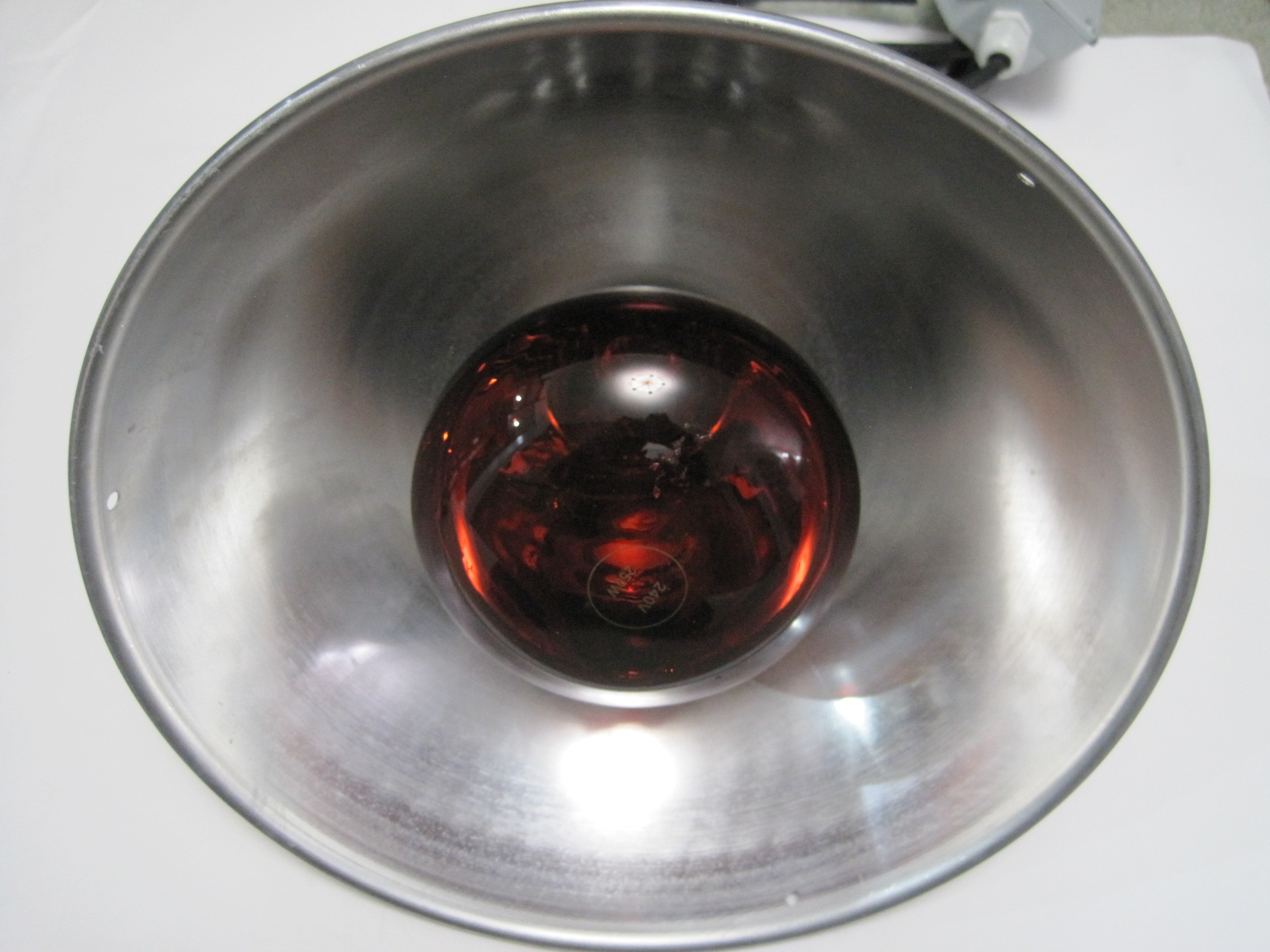 250W Pet Heater with 2 Heat Settings and Ruby Lamp - Image 2