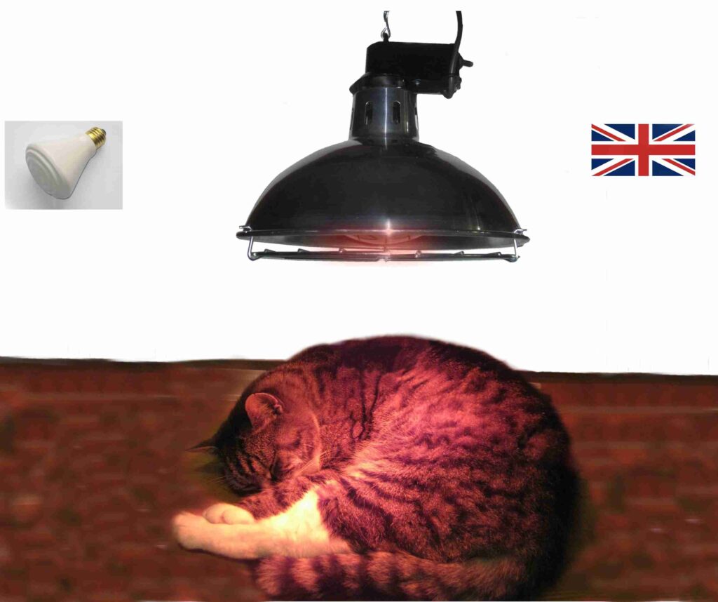 250W Pet Heater with 2 Heat Settings and Dull Emitter