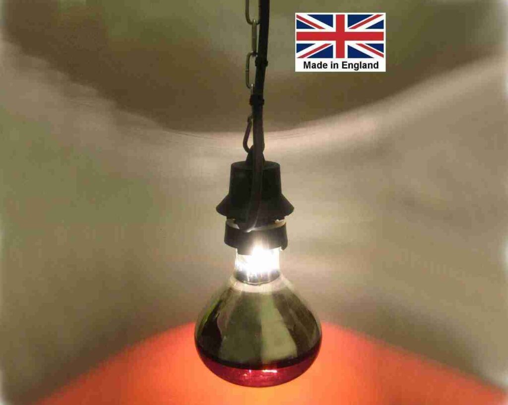 250W Basking Heater with Ruby Spot lamp