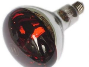 150w RUBY Bulb Emitter (Pig Lamp)