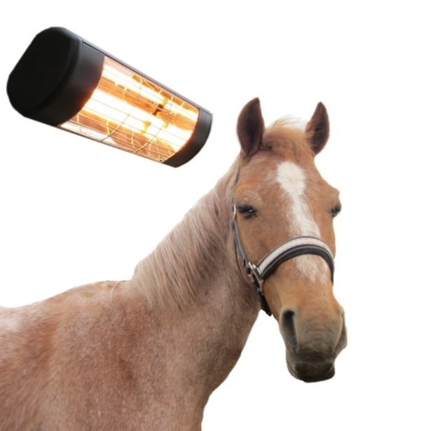 Equine Solariums and Infra-red Heating