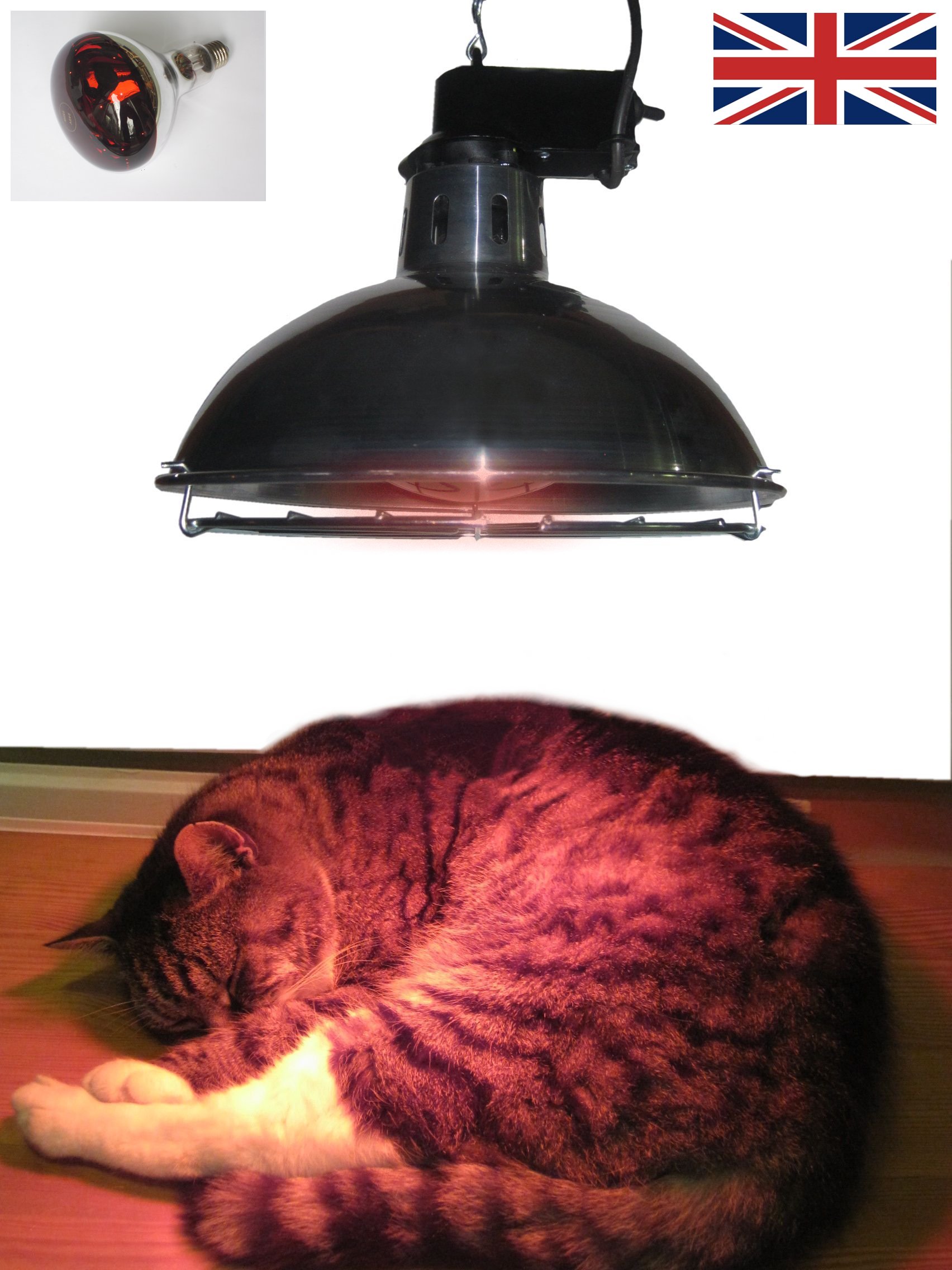 Leisure Heating Pet Heater with 250W Ruby Lamp and 2 Heat Settings Leisure Heating