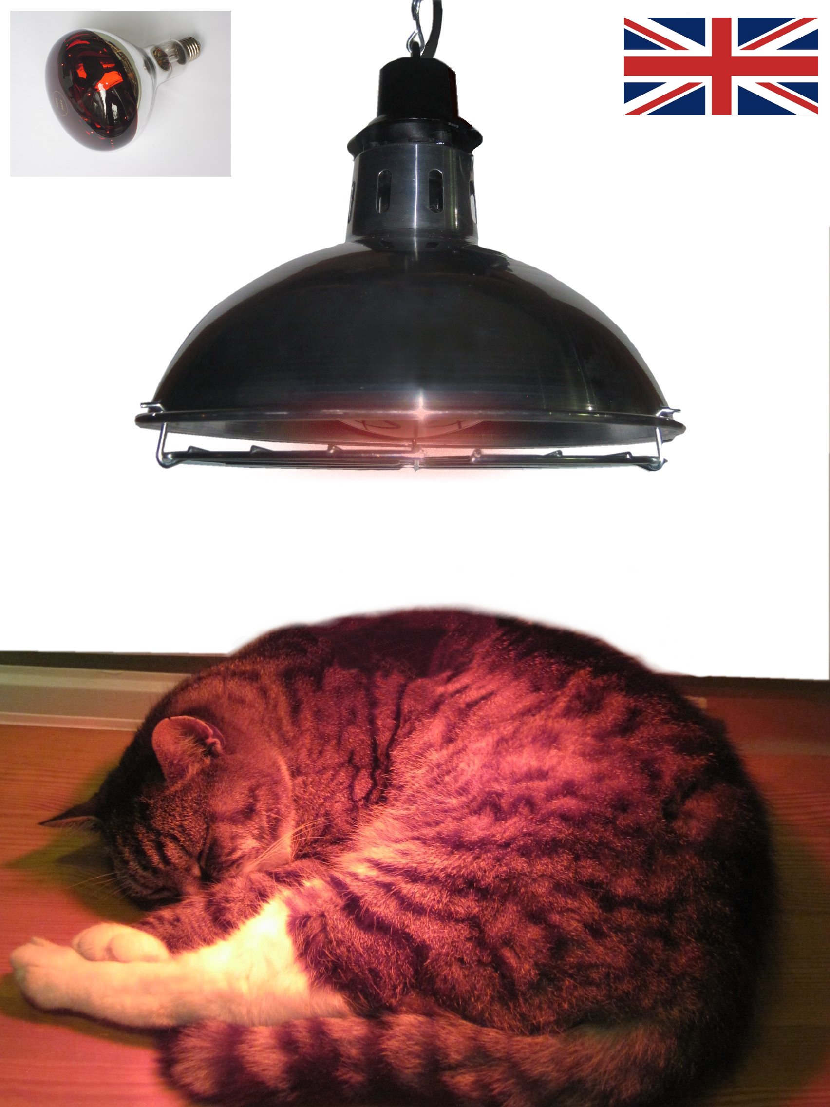 Leisure Heating Pet Heater with 250W Ruby Lamp